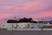 Sea of Cortez 28